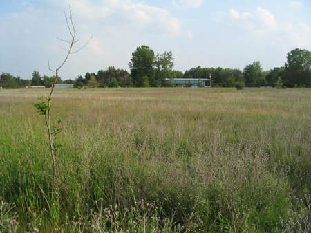 Commerce Drive-In Theatre - The Field (newer photo)